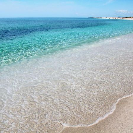 Apartament La Terrazza Sul Parco Oristano Zewnętrze zdjęcie